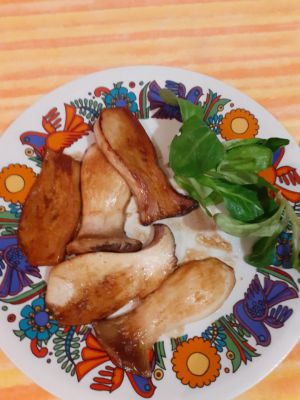 Recette Pleurotes de panicaut sauce soja