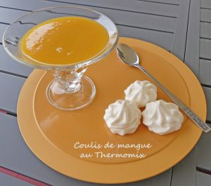 Recette Coulis de mangue au Thermomix *