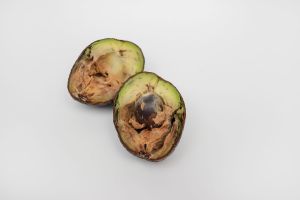 Recette Your Avocado Turned Brown. Should You Still Eat It?