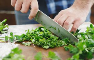Recette Coriander vs. Cilantro: Which One Has More Vitamins and Nutrients?