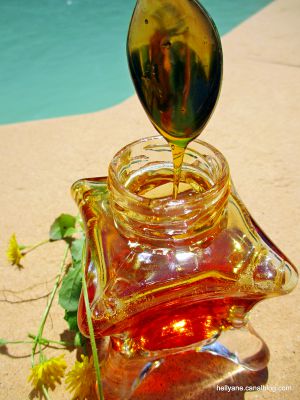 Recette Cramaillotte ou miel de pissenlits