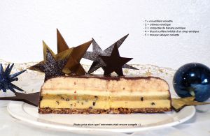 Recette Réinterprétation de l'Etoile Exotique de Christophe Michalak : croustillant noisette, crémeux exotique, compotée de banane exotique, biscuit cuillère imbibé d'un sirop exotique, mousse sabayon noisette