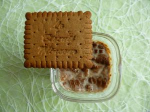 Recette Yaourts maison allégés aux biscuits speculoos minceur diététiques et protéinés à 80 kcal (sans sucre et riches en fibres)