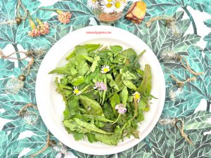 Recette Salade de plantes sauvages