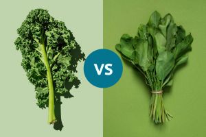 Recette Kale vs. Spinach: Which Leafy Green Is More Nutritious?