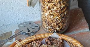 Recette Récapitulatif consacré aux noix