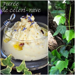 Recette Purée de celeri-rave et pommes de terre Blue Belle