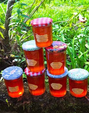 Recette Gelée de pomme & poire avec un extracteur de jus