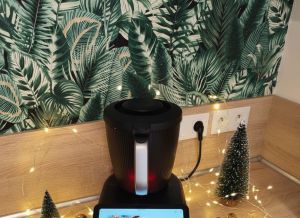 Recette Maneles , coquilles de Noel , cougnou ... au Thermomix TM7