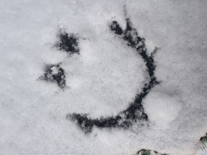 Recette Ne dis pas non au messie