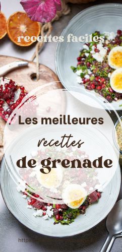 Recette Nos meilleures recettes avec de la grenade