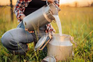 Recette Why Drinking Raw Milk Can Be Dangerous for Your Health