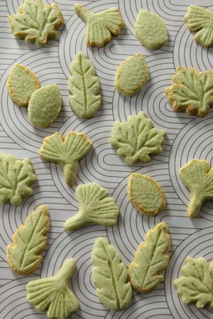 Recette Biscuits Feuilles de la Nature