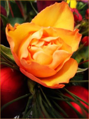 Recette Mes Fleurs du Dimanche