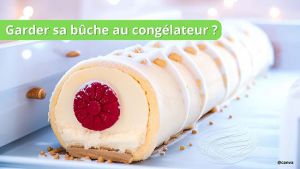 Recette Puis-je laisser ma bûche de Noël au congélateur ?