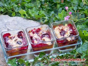 Recette Gratin de mures sauvages