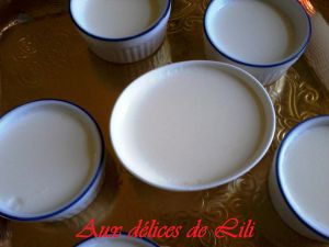 Recette Yaourts faciles sans yaourtiere