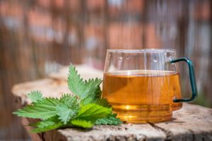 Recette What Happens to Your Blood Sugar If You Drink Nettle Tea Every Day