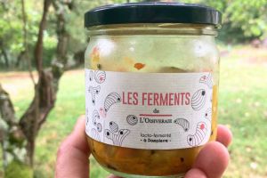 Recette Où (et pourquoi) acheter des légumes fermentés ?