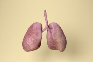 Recette Lung Cancer Is Rising in Non-Smokers. Scientists Are Looking for Causes