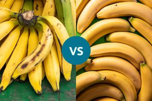Recette Plantains vs. Bananas: Which One’s Better for Your Heart and Blood Sugar?