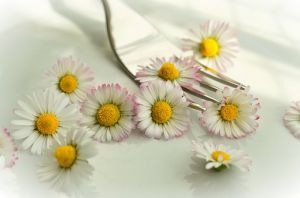 Recette Cuisiner avec des fleurs comestibles