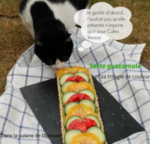 Recette Tarte guacamole & trilogie de couleurs – Vegan