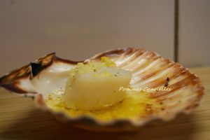Recette Coquille St Jacques