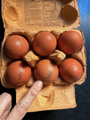 Recette Œufs anglais Mabel Pearman’s Burford Browns  Clarence Court