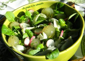 Recette Salade de mâches, radis et raisins au fromage de brebis