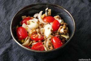 Recette Salade lentilles, graines et endive