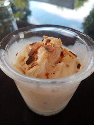 Recette Glace au lait à la vanille (companion ou monsieur cuisine)