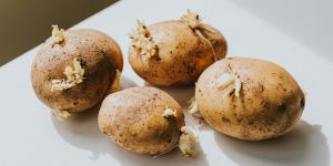 Recette 7 Foods You Didn’t Know Could Be Poisonous