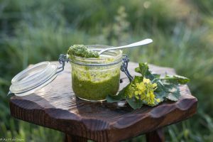 Recette Pesto de fleurs de moutarde sauvage